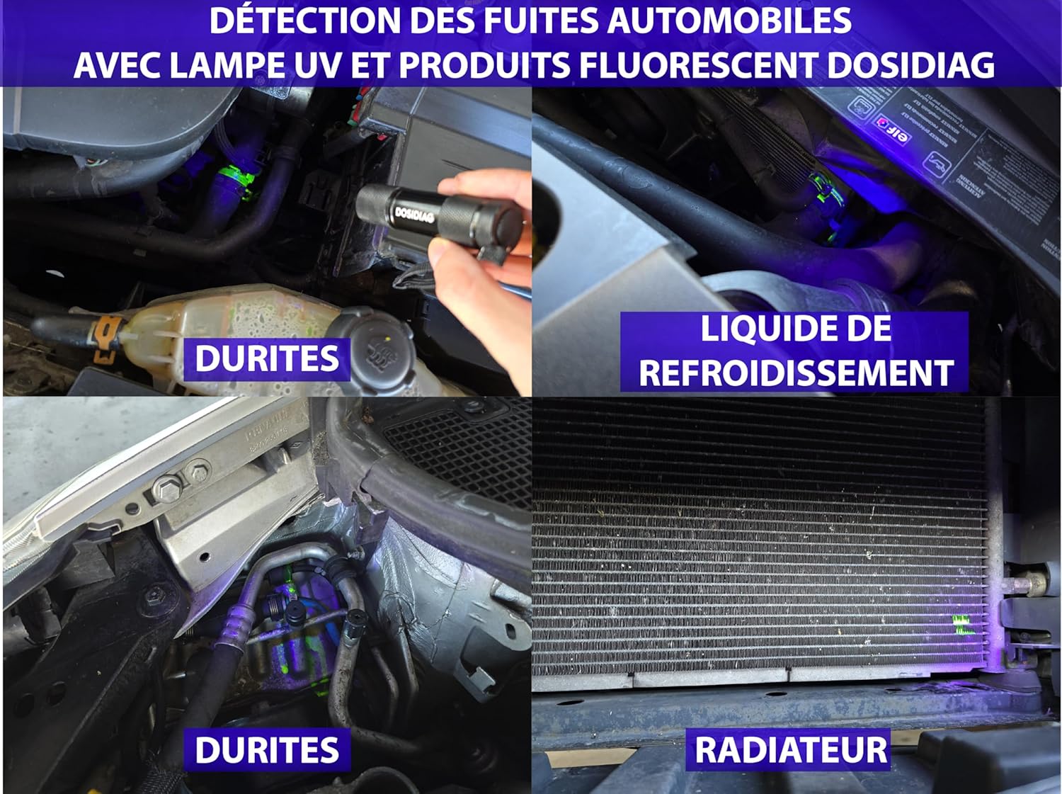 Lampe torche UV 395nm