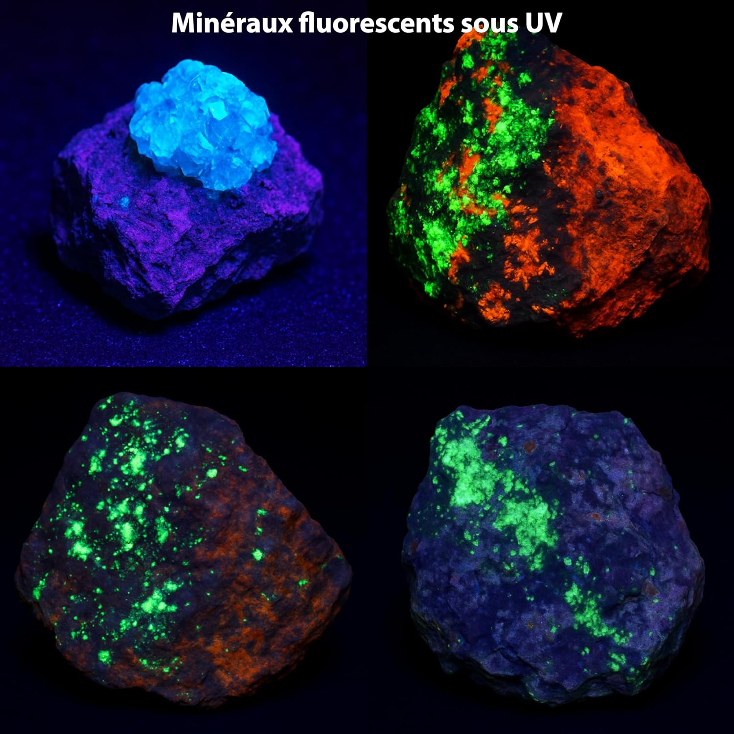 Lampe torche UV 395nm